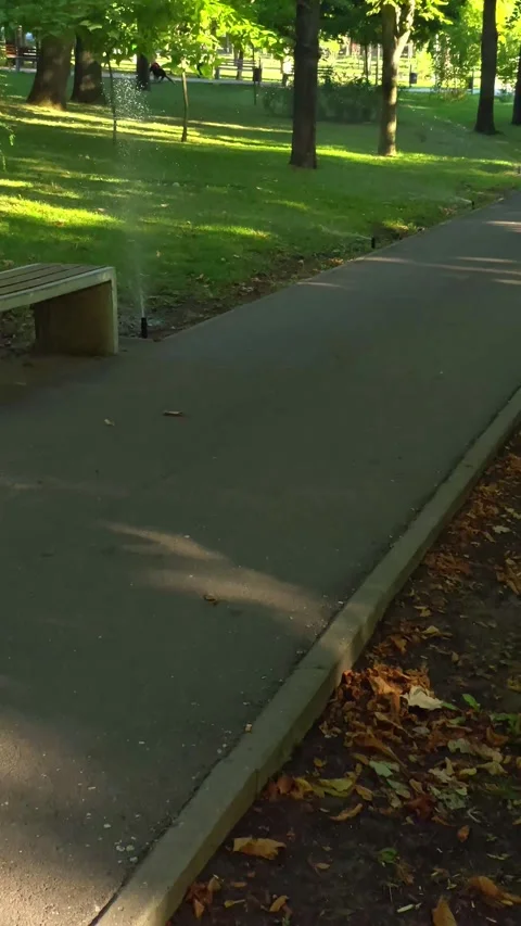 Empty paved park walkway through green trees. Stock Footage 342986606