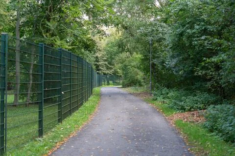Empty Paved Path Along Green Metal Fence Through Dense Woodland Stock Photos