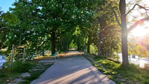 Empty paved path lined with green trees in Paris, France. First person walking Stockbeeldmateriaal 336900239