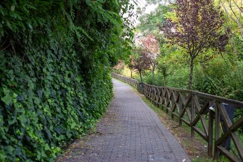 An empty paved path in the park green wooden fence. Perspective park path with Stock Photos