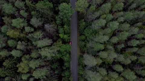 An empty paved road in the forest from a height Stock Footage 161250242