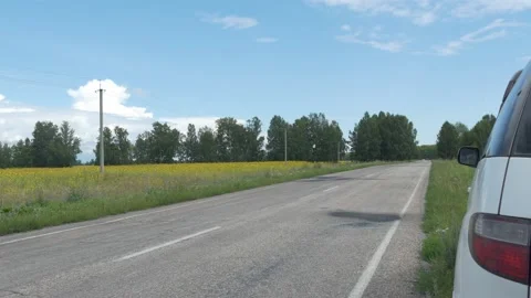 An empty paved road passes next to a sunflower farmer's field. Siberia. 스톡 동영상 158344721