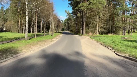 An empty paved road through a park on a sunny day, a quiet forest alley  Stock Footage 333510887