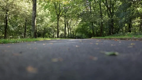 Empty paved road winds beneath tall green trees through a peaceful summer park 動画素材 344055156