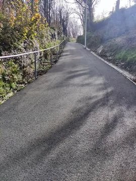 Empty paved walking path through wooded hillside Foto stock