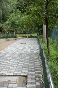 Empty paved walkway through lush green park with trees and landscaped garden Foto stock