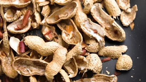 Empty peanut shells of peeled nuts falling on kitchen black plate Stock Footage 310183456