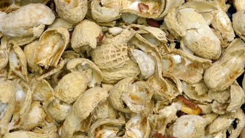 Empty peanut shells , without the nuts , close-up Stock-Footage 273707432