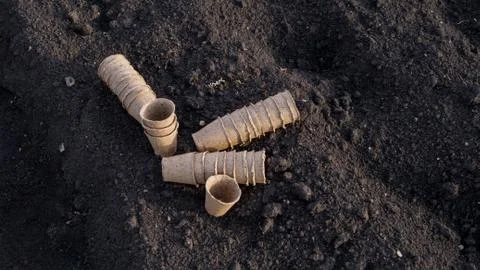 Empty peat containers on black soil in beds in the daytime Foto stock