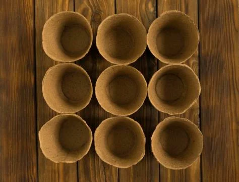 Empty peat pots for seedlings on an old wooden vintage table. Top view. Stock Photos