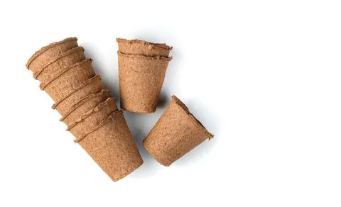 Empty peat pots for seedlings on a white background. Stock Photos