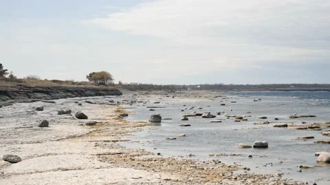 Empty Pebble Beach, Typical Oland Island Coastal Landscape, Pan shot Video stock 208904009