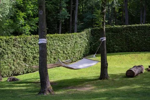 Empty pendant hammock in trees on green lawn in backyard. Stock Photos