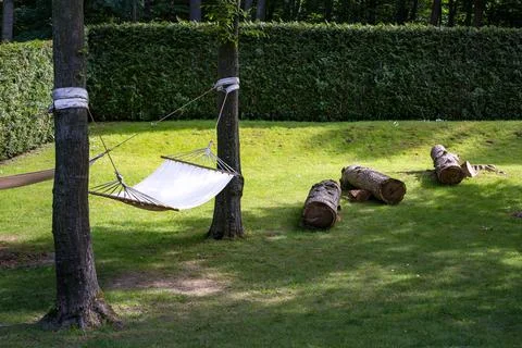 Empty pendant hammock in trees. Stock Photos