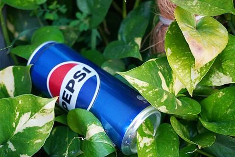Empty PEPSI beverage cans thrown away by irresponsible individuals Stock Photos