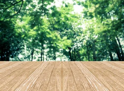 Empty perspective room with blurred green tree forest and wooden plank floo.. Stock Photos