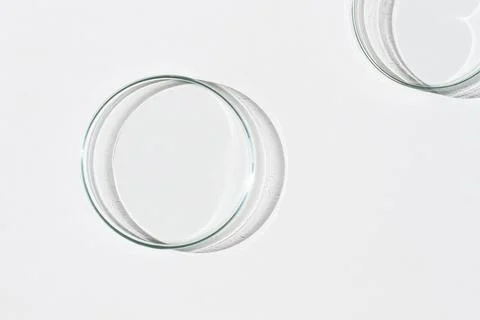 Empty Petri dish. On a white background. Bright sunlight. Deep shadows. Contr Stock Photos