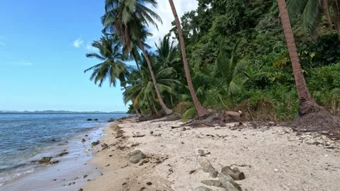 Empty Philippine Beach with Coconuts and Litter along Tropical Shoreline Stock Footage 339969569