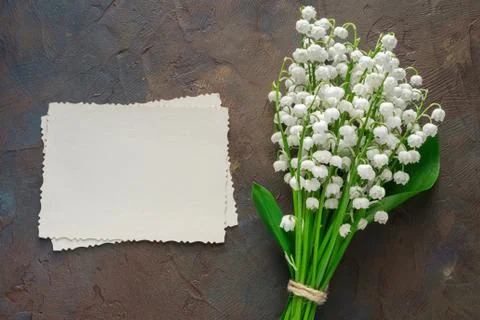 Empty photo frame for inside and Lilies of valley bouquet. Stock Photos