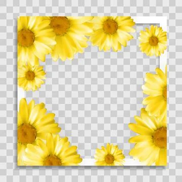 Empty Photo Frame Template with Spring Flowers for Media Post in Social Netwo Illustrazione stock