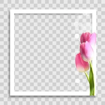 Empty Photo Frame Template with Spring Flowers for Media Post in Social Netwo イラスト素材