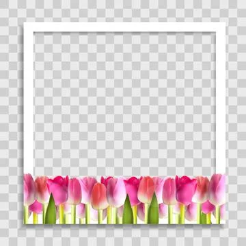 Empty Photo Frame Template with Spring Flowers for Media Post in Social Netwo イラスト素材