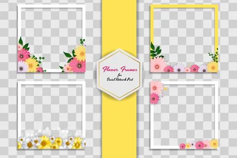 Empty Photo Frame Template with Spring Flowers Set for Media Post in Social N イラスト素材