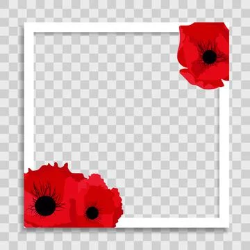 Empty Photo Frame Template with Spring poppy Flowers for Media Post  in Socia イラスト素材