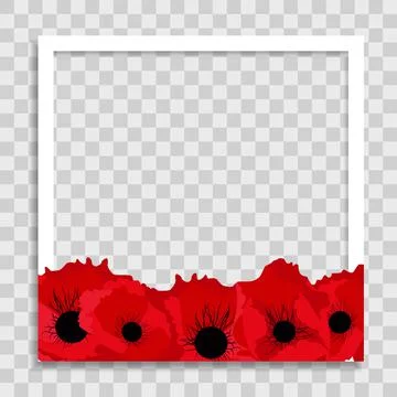 Empty Photo Frame Template with Spring poppy Flowers for Media Post  in Socia イラスト素材
