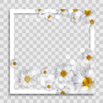 Empty Photo Frame Template with Spring Flowers for Media Post  in Social Netw イラスト素材