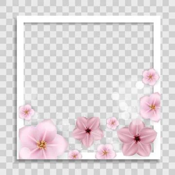 Empty Photo Frame Template with Spring Flowers for Media Post  in Social Netw イラスト素材