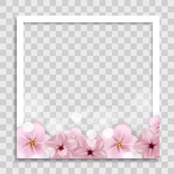 Empty Photo Frame Template with Spring Flowers for Media Post  in Social Netw イラスト素材
