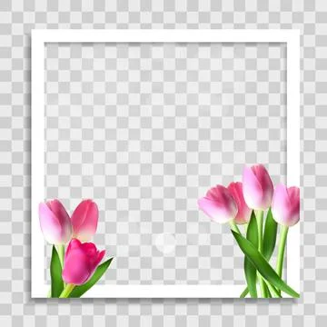 Empty Photo Frame Template with Spring Flowers for Media Post  in Social Netw イラスト素材