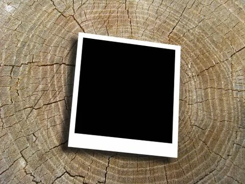 Empty photo on the pattern of tree Stock Illustration