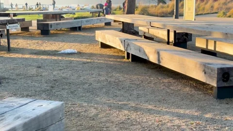 Empty Picnic Area with Benches Stock Footage 306804971