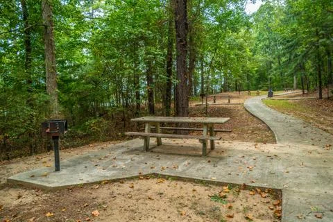Empty picnic area in the park Stock Photos