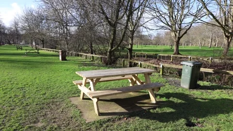 Empty Picnic Area With Tables And Trash Bin In Spring Time Stock Footage 286216310