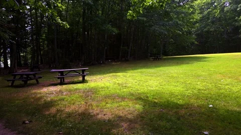 Empty picnic benches on lawn at Wolfneck State Park, Maine Stock Footage 341680703