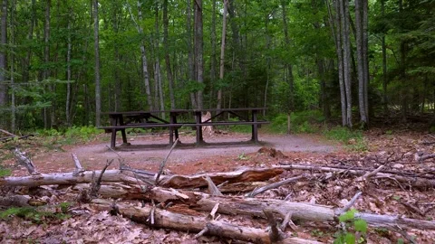 Empty picnic benches at Wolf Neck State Park, Me Stock Footage 341680603
