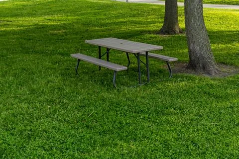 Empty picnic table set on grass under trees in a park during daylight hours Fotos de archivo