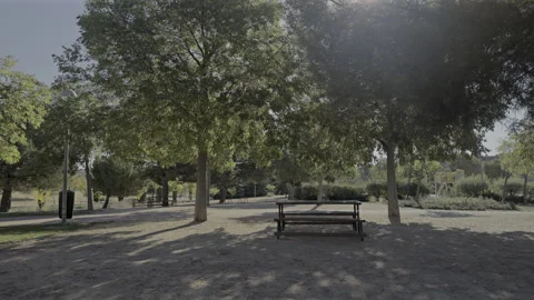 Empty picnic table in a sunny urban park Stock-Footage 319689930