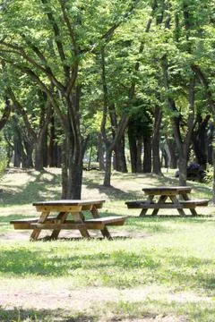 Empty picnic table in a tranquil park Stock Photos