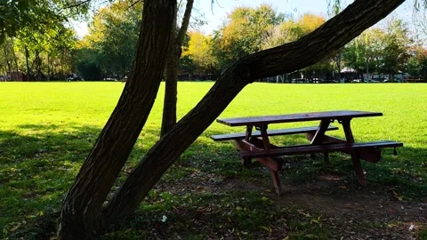 Empty Picnic Table Under Green Trees in a Sunny Public Park in Istanbul Turkey Stock Footage 326826007
