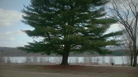 Empty Picnic Tables at Park in Winter with Lake in Background WIDE PAN Video stock 104725764