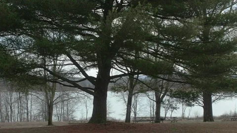 Empty Picnic Tables at Park in Winter with Lake in Background WIDE PAN LEFT Video stock 104725876