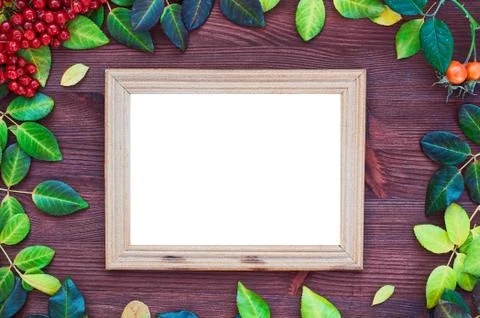 Empty picture frame around the yellow and green leaves Stock Photos