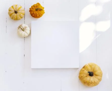 Empty picture frame with autumn pumpkin decor in white interior. Thanksgivi.. Stockfoto's
