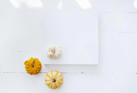 Empty picture frame with autumn pumpkin decor on white wooden background. T.. Stock Photos