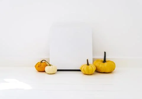 Empty picture frame with autumn pumpkin decor in white interior. Thanksgivi.. Stock Photos