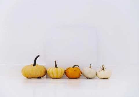 Empty picture frame with autumn pumpkin decor in white interior. Thanksgivi.. Stock Photos